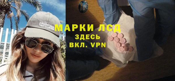 СК Медвежьегорск