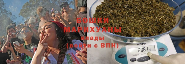 молекула духа Медногорск