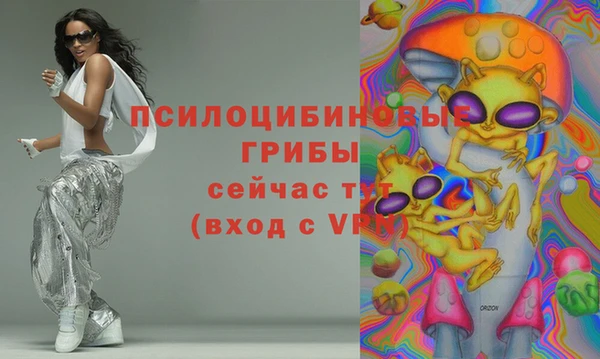 молекула духа Медногорск