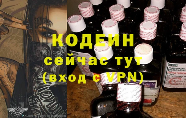 тгк Анжеро-Судженск