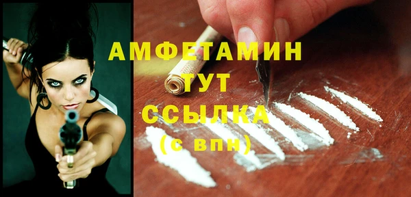молекула духа Медногорск